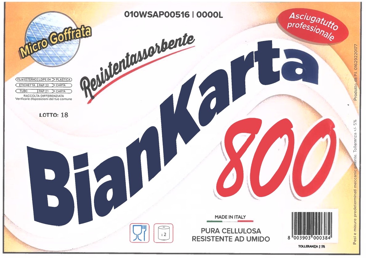 Asciugatutto professionale BIANKARTA 800 - 1,4kg x 2 rotoli Foto prodotto Photo 02 L